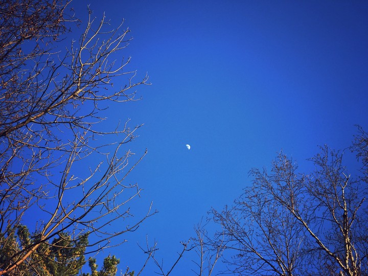 Evening skies
