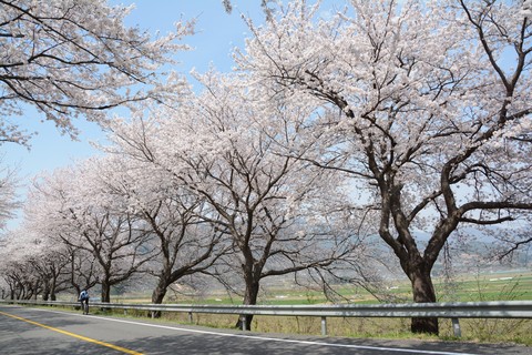 Spring