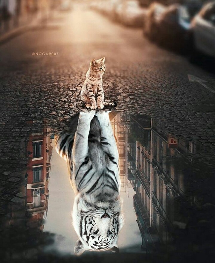 l