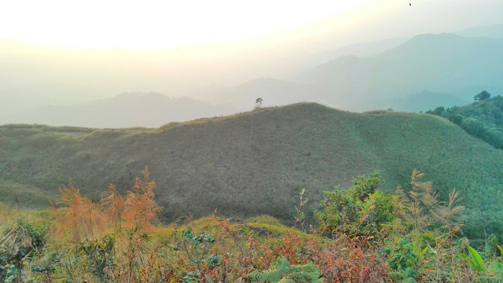 mountain view