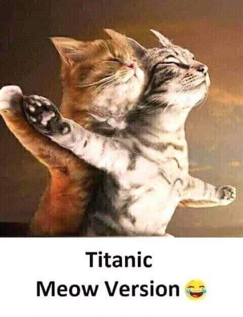 nice