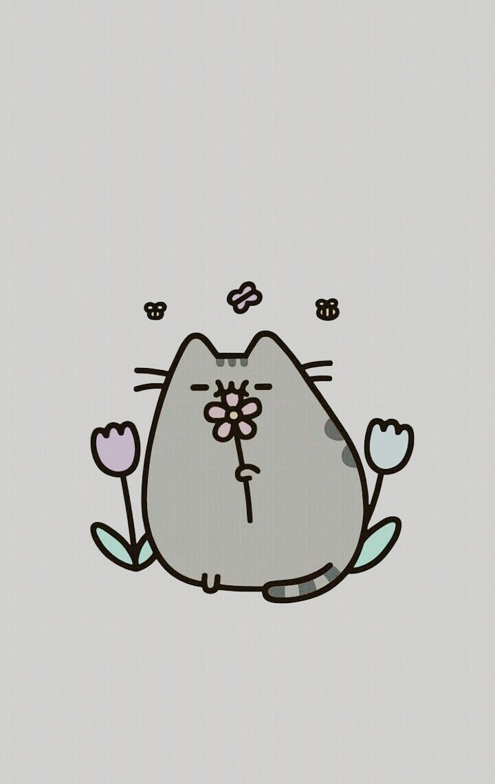 Le chat.