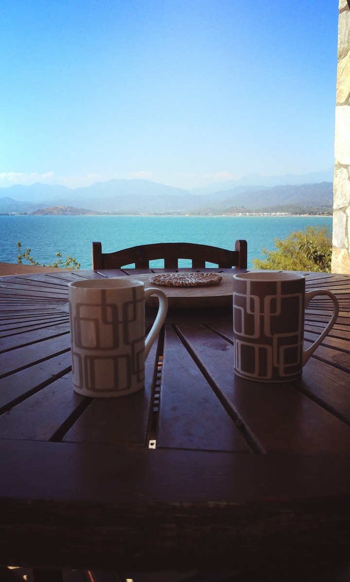 cup