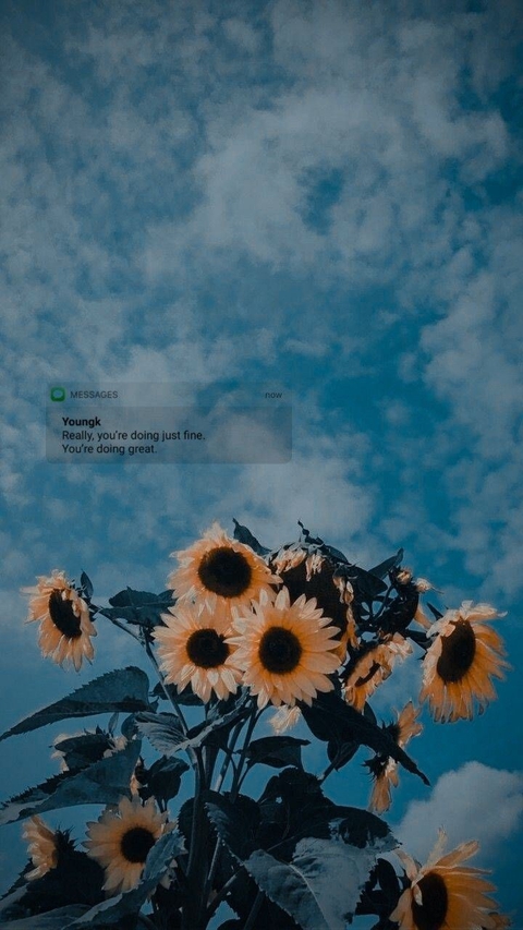 plant, happy wallpapers