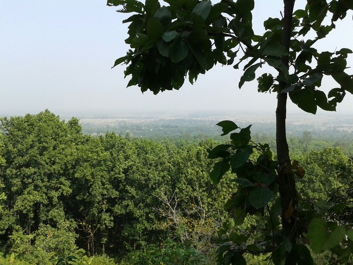 nature