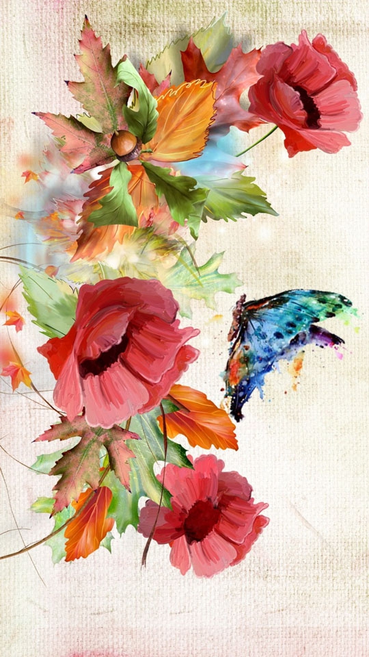 Mohn und Schmetterling