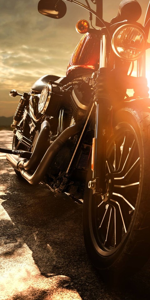 Harley