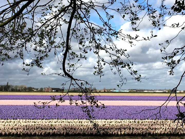 Holland