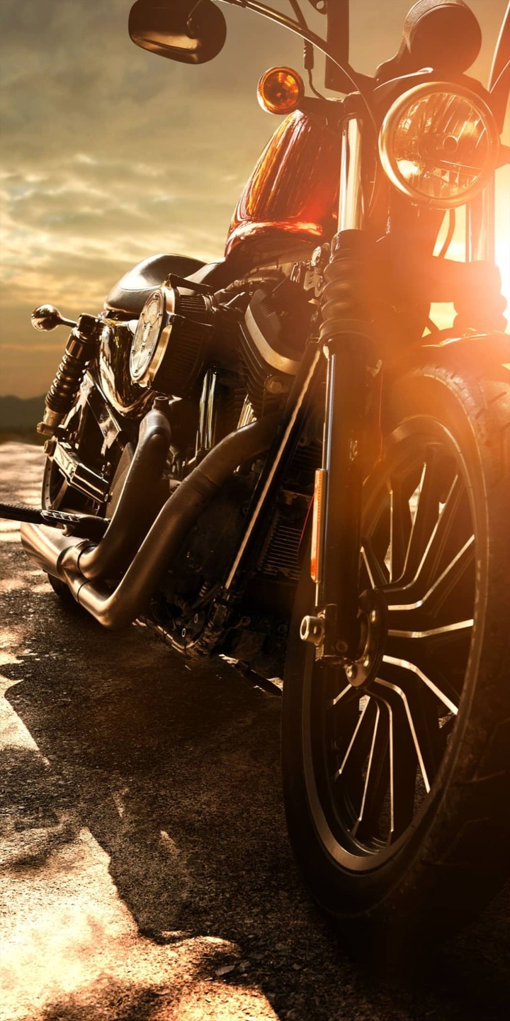 Harley