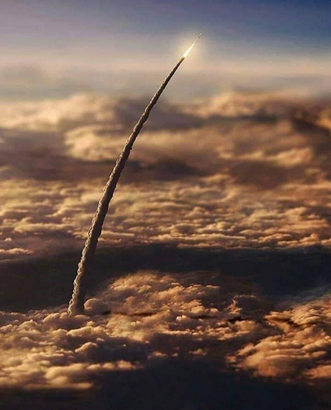 cosmos