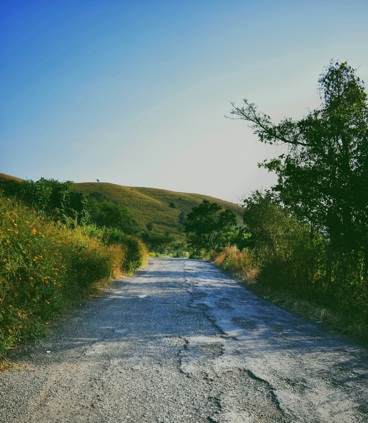 The Beautiful Path