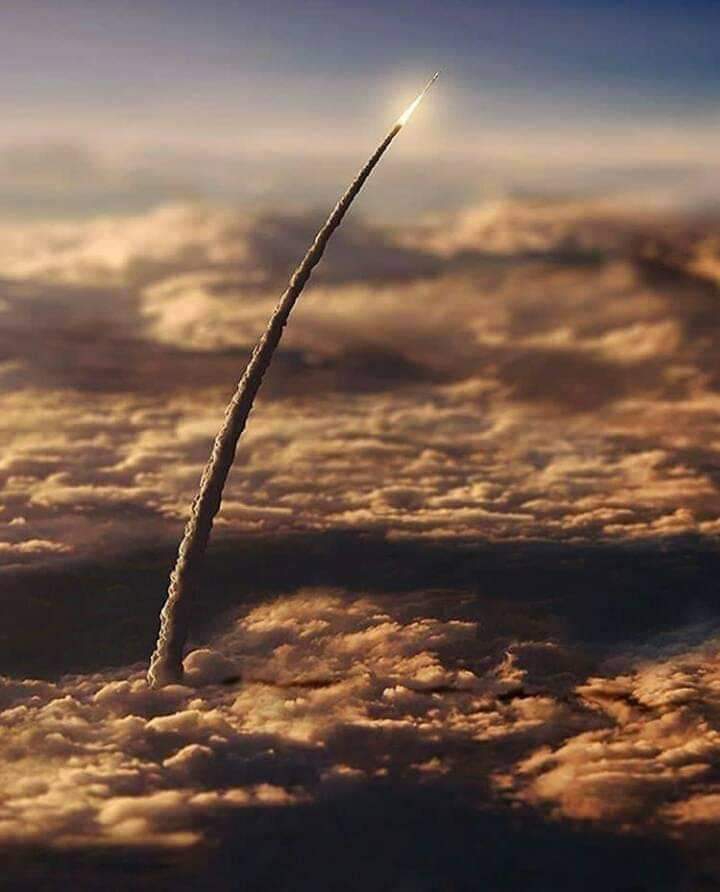 cosmos
