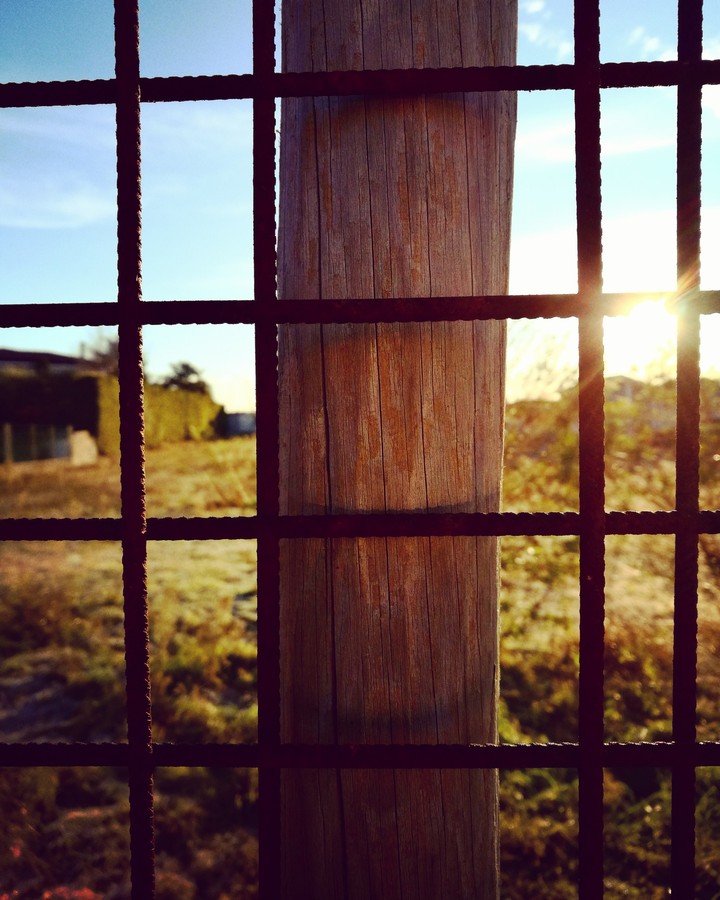 sunshine