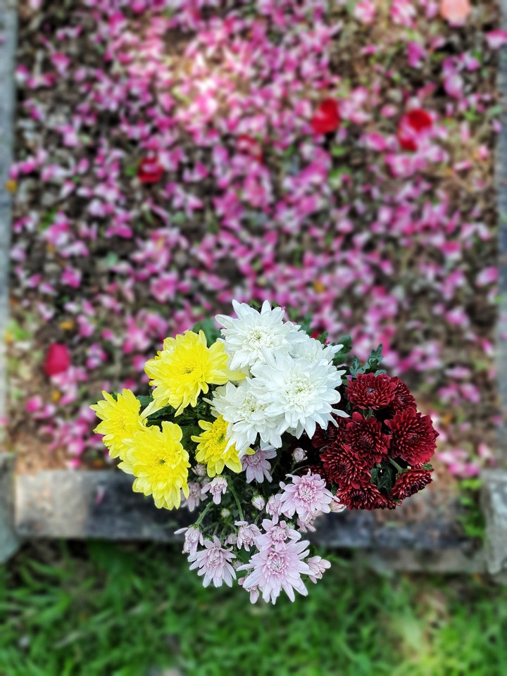 Life after death