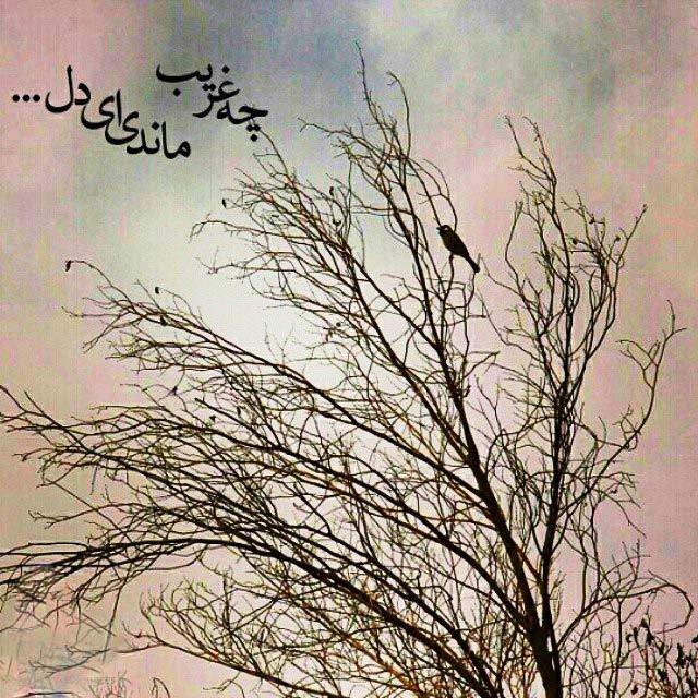 alone