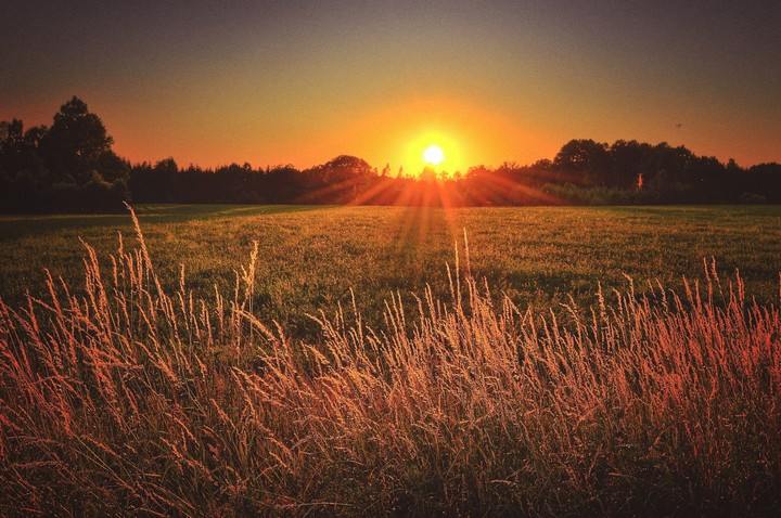 Beauty of nature