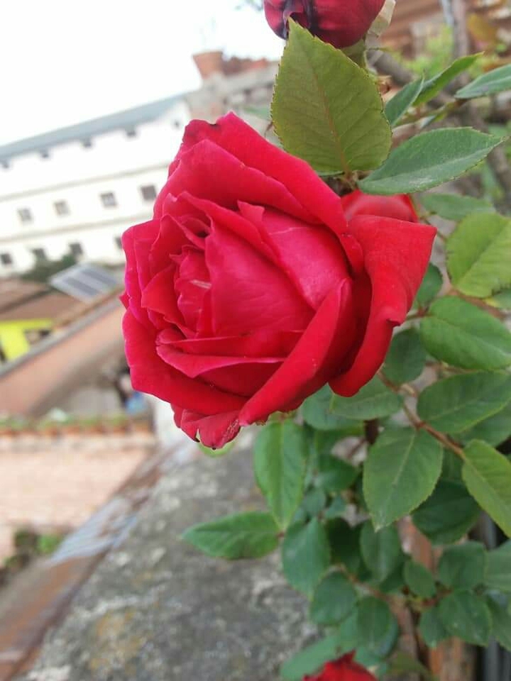 ;❤❤❤