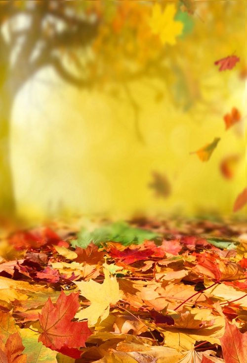 autumn