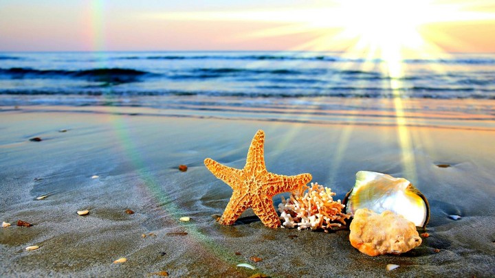 Friendly friends on the beach