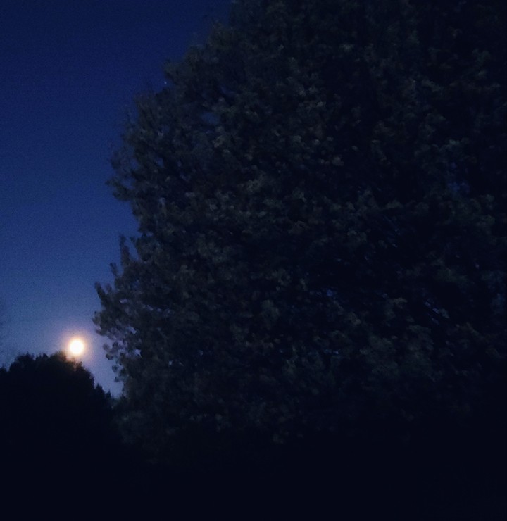 6 am. moon