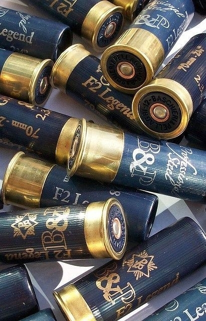 Shotgun shells
