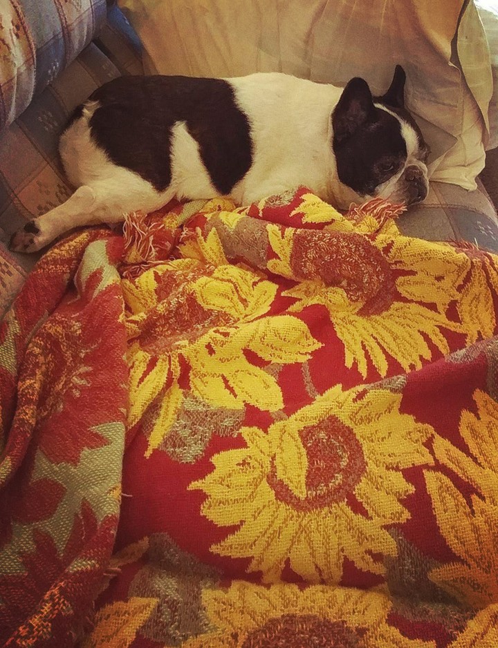 DewPew around 13 and a half years old.