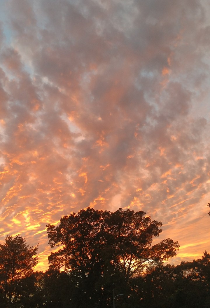 Clouds at Sunset
