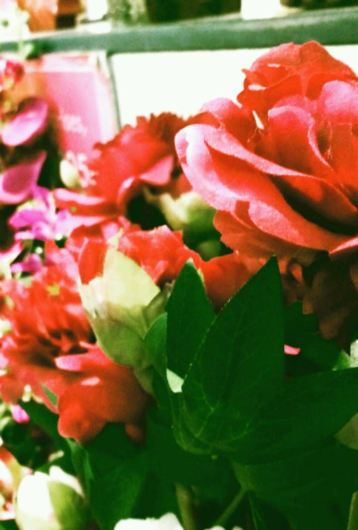 Rose