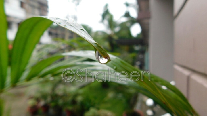 Droplets of rain descending from heaven.