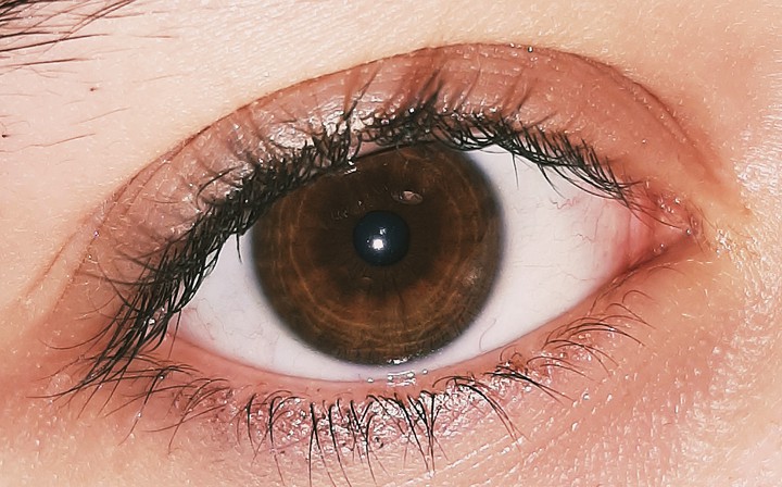 Brow eyes