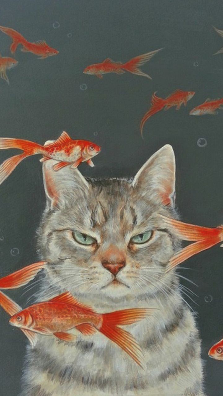 gato