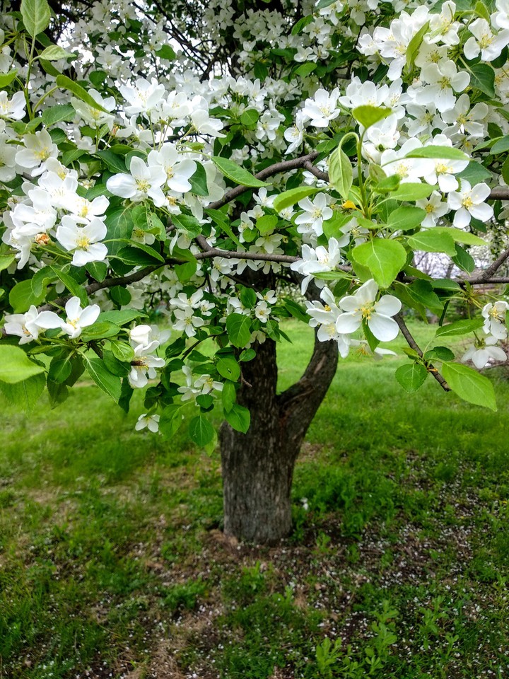 ?