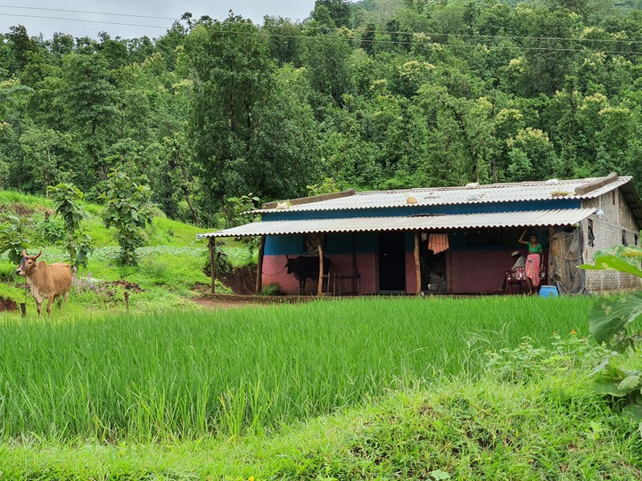 village