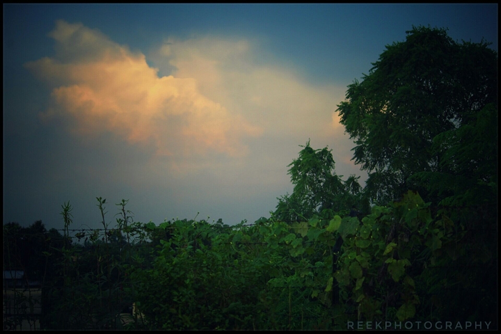 reekclicks