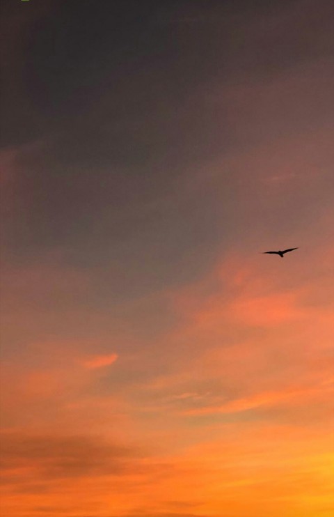tapety sunrise, sky