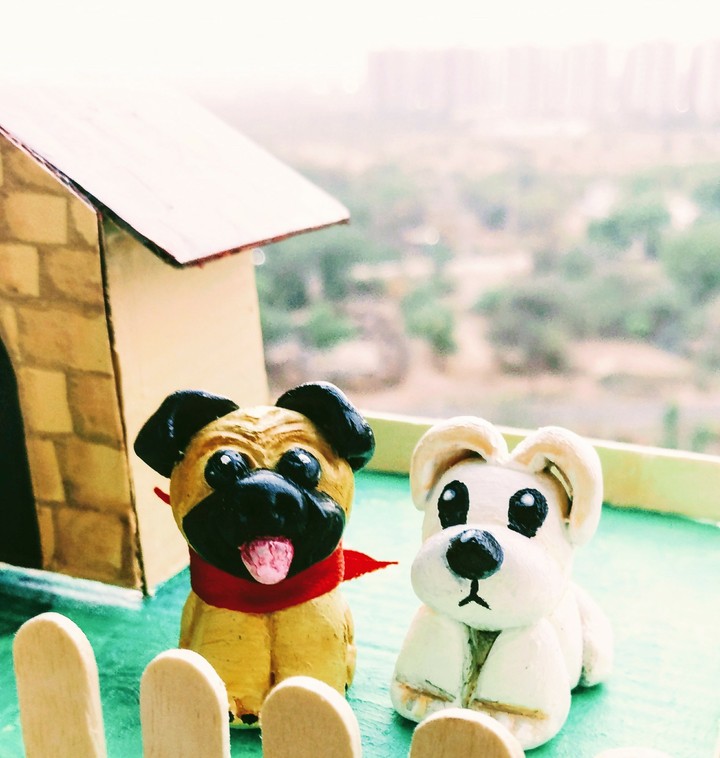 Puppies