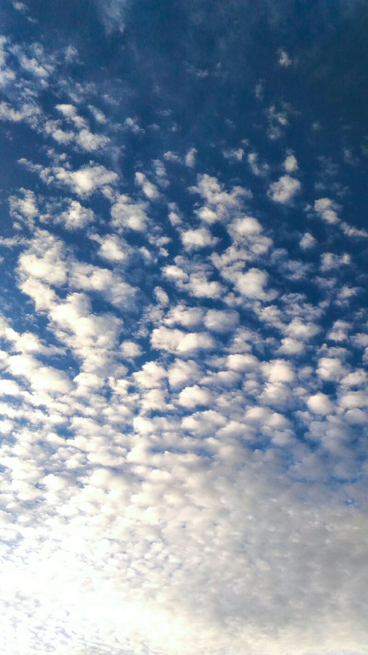 Shattered Sky