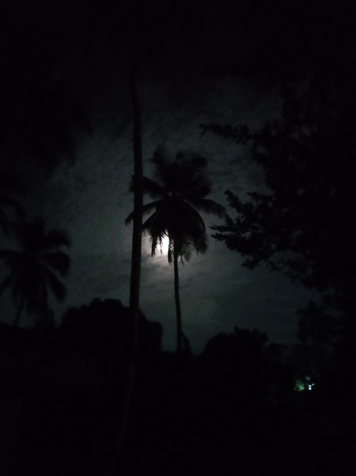 Night in Sri Lanka by Udari