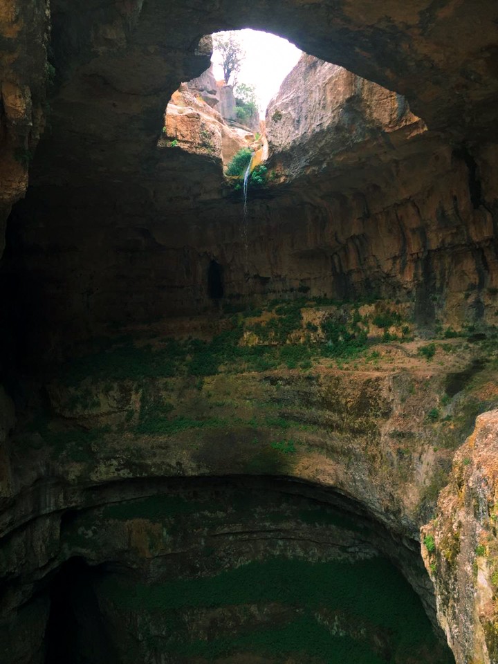 nature