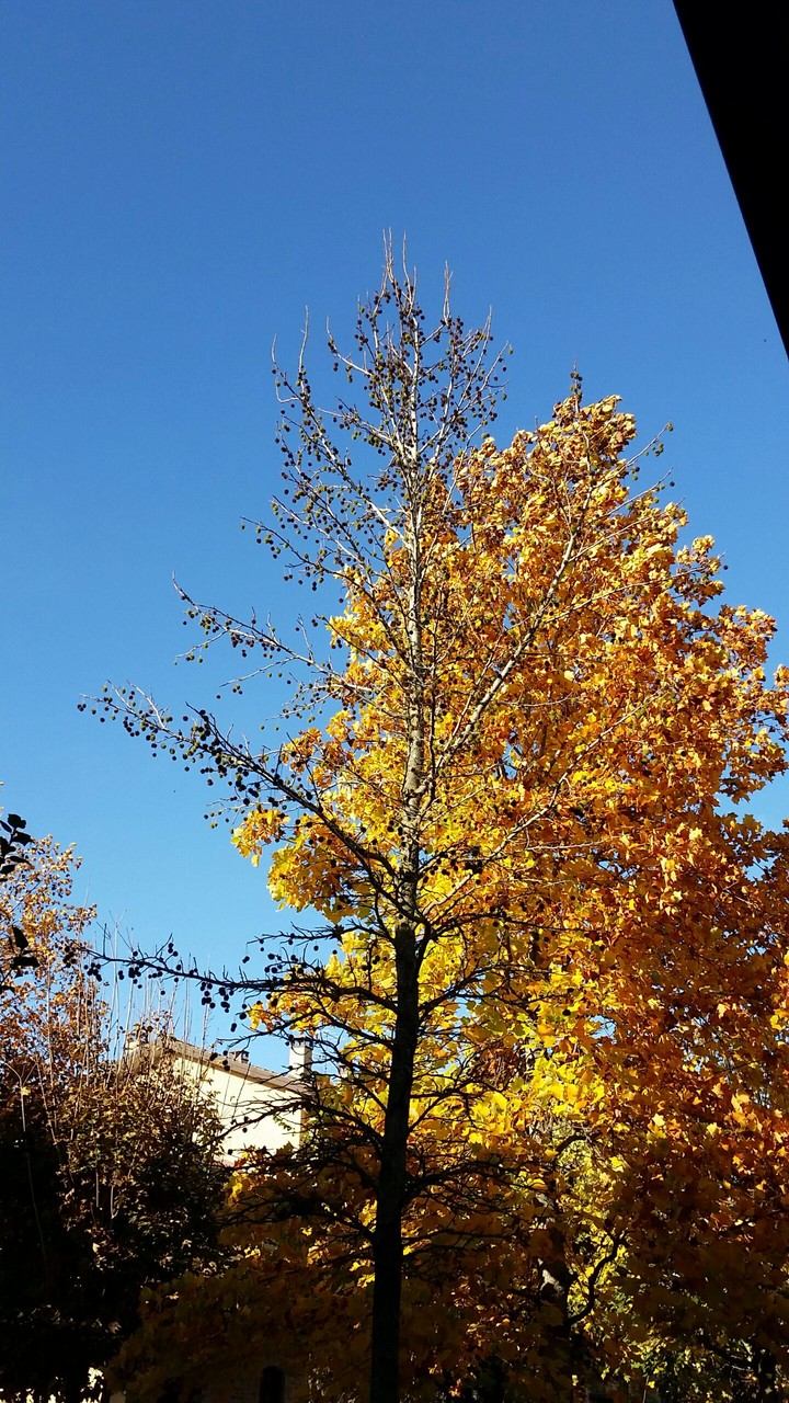 Autumn