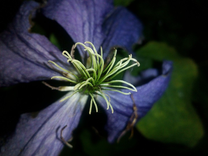 beauty of nature
