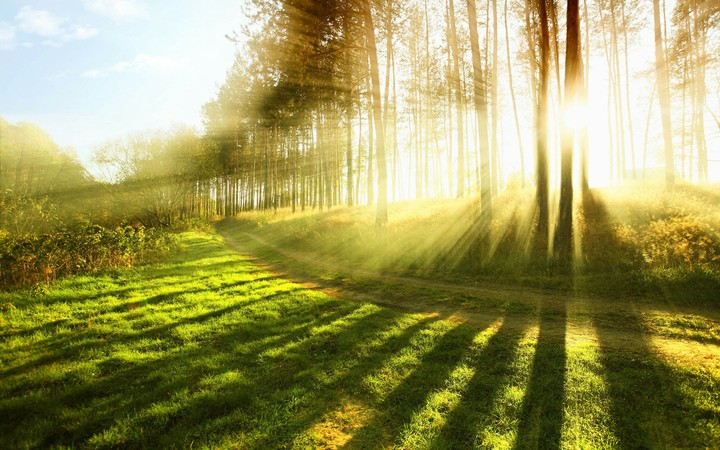 nature beautiful