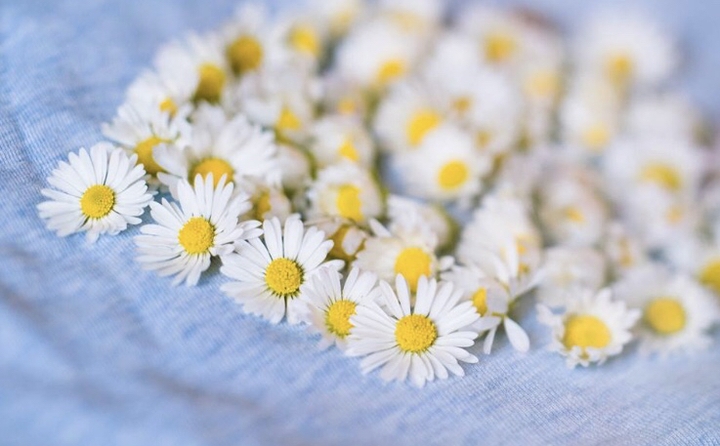 loverflower