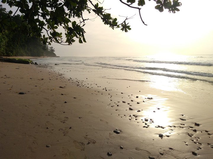 Neil island, Andaman, India