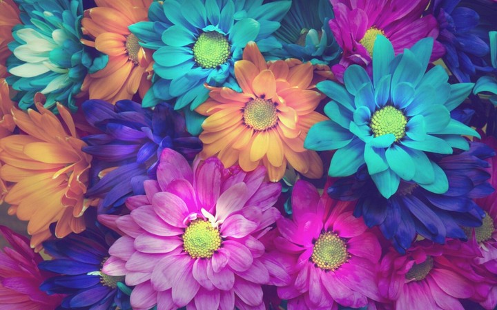 flowers