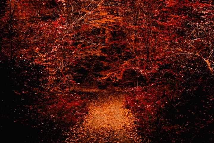 autumn fairytale