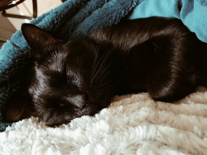 stay warm