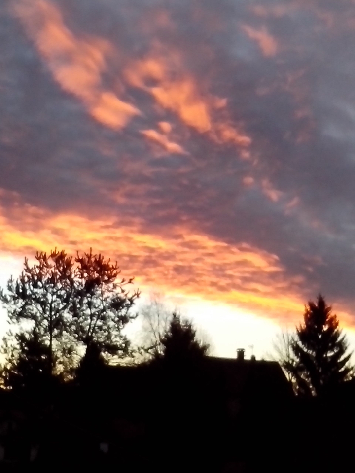 Lovely sunset and Black garden..