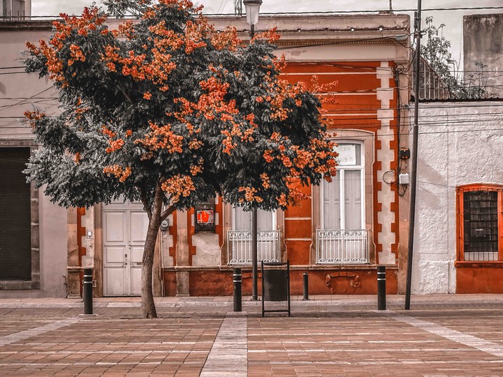 Street
