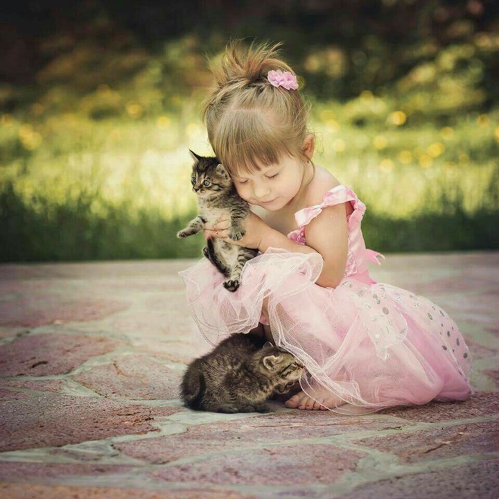 kittiens